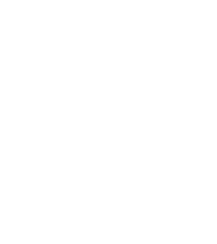 Salt Air logo